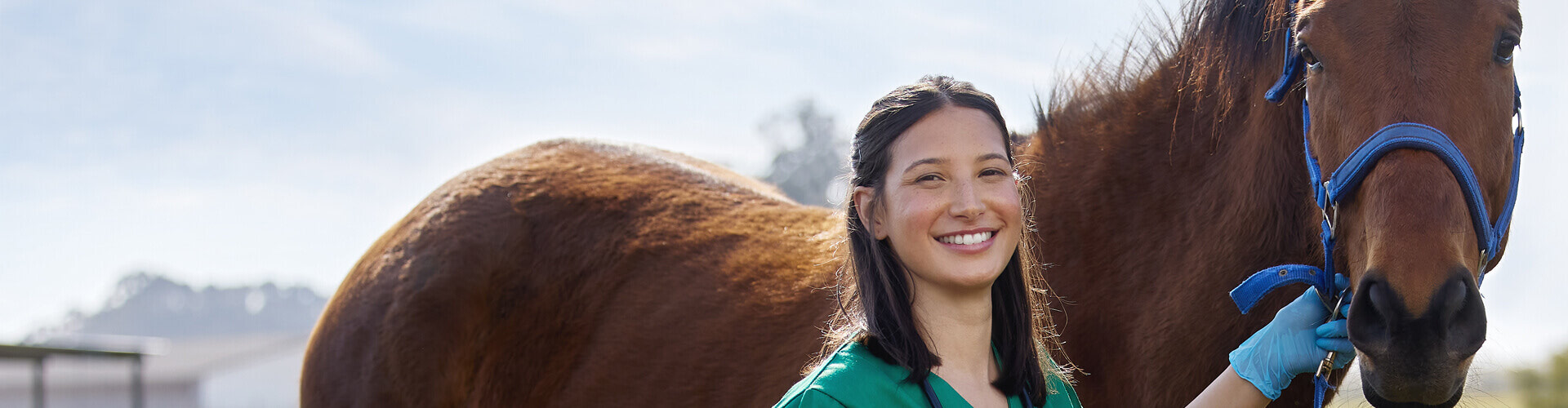 We are the Alberta Veterinary Technologist Association